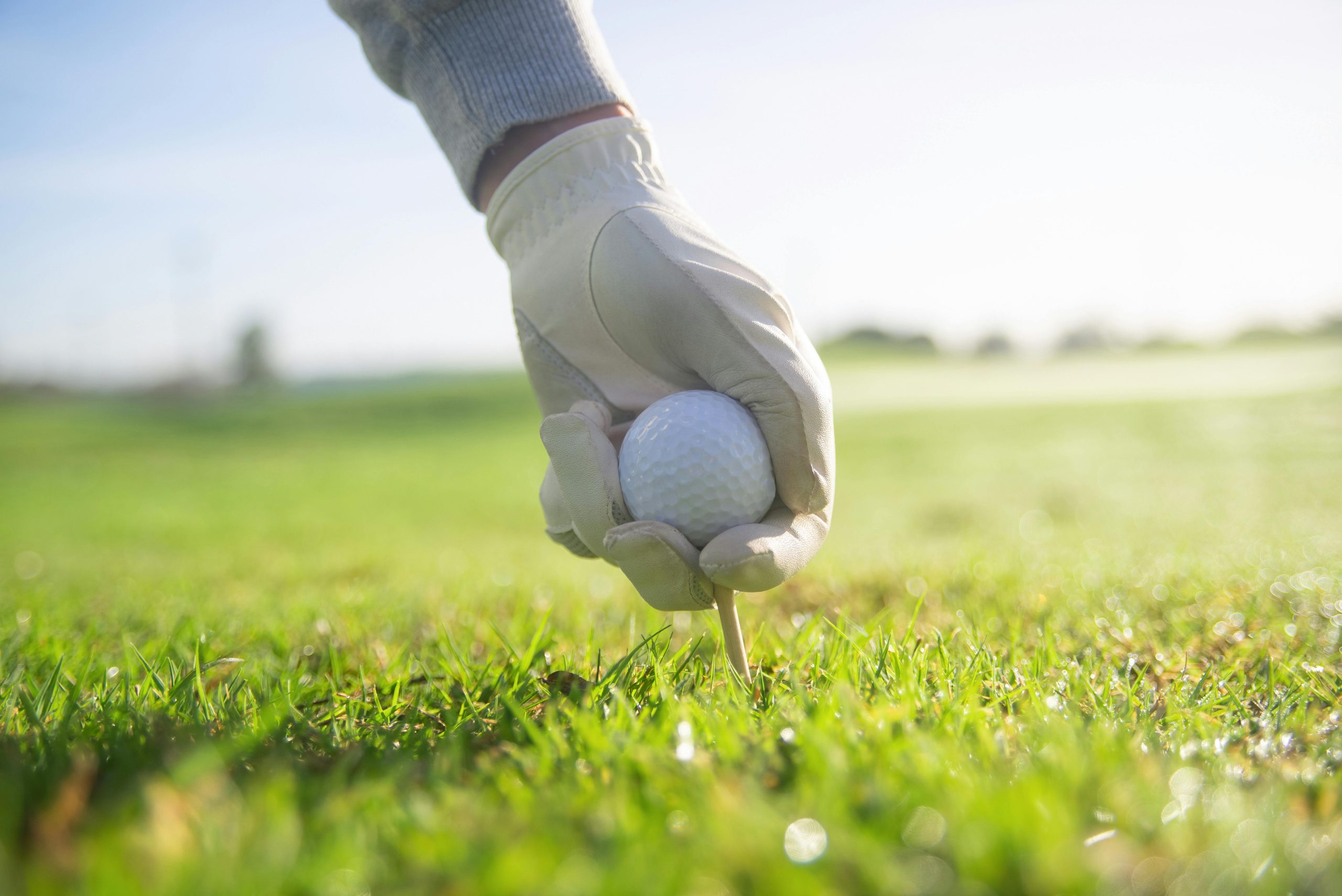 Golf Swing Trainer Designed for Beginners and Professionals